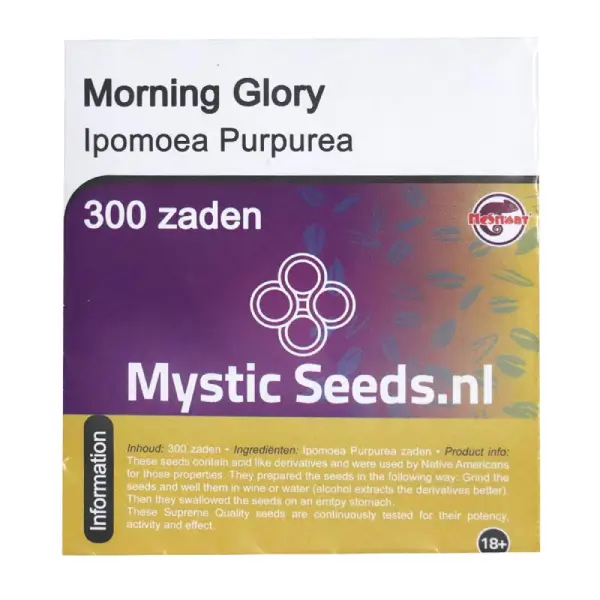 Morning Glory ??? 300 seeds