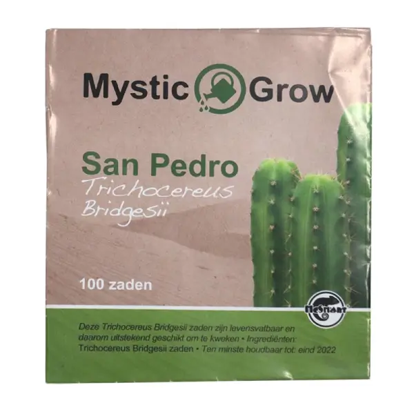 San Pedro T bridgesii seeds ??? 100 pcs