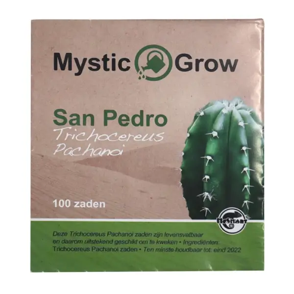 San Pedro T Pachanoi Seeds ??? Pack of 100